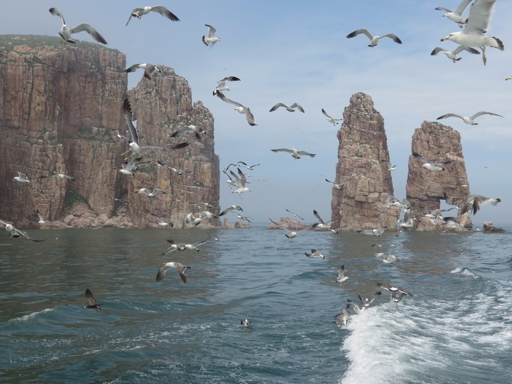 长岛免费景点攻略亲子,长岛海岛风情