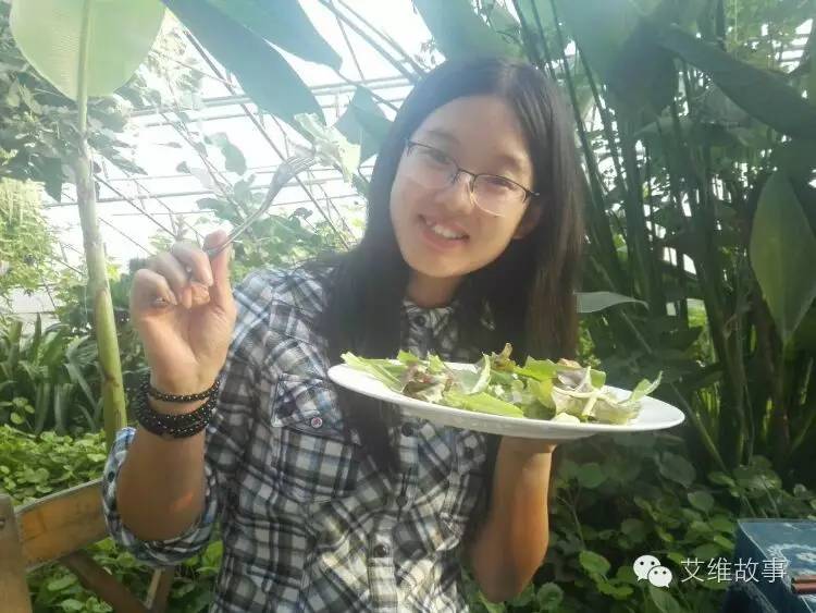 艾维wwoofer之：一路前行，一路感动