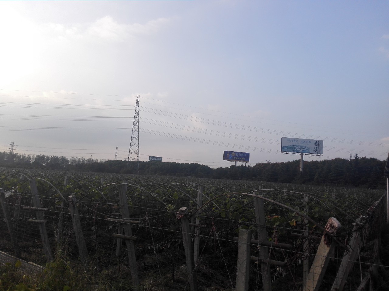 黄埭西瓜子江苏老字号,黄埭西瓜子