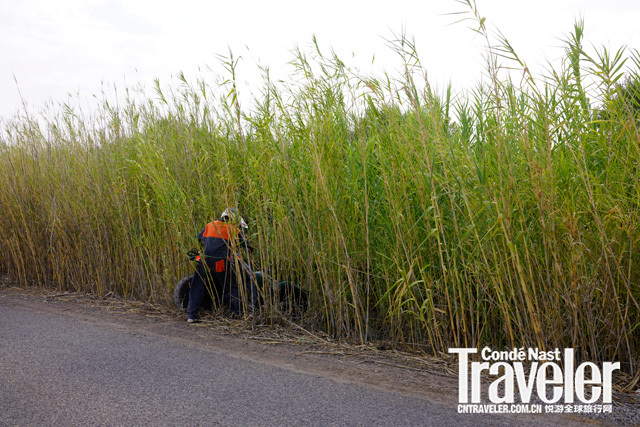 马拉喀什天气,马拉喀什有多迷人