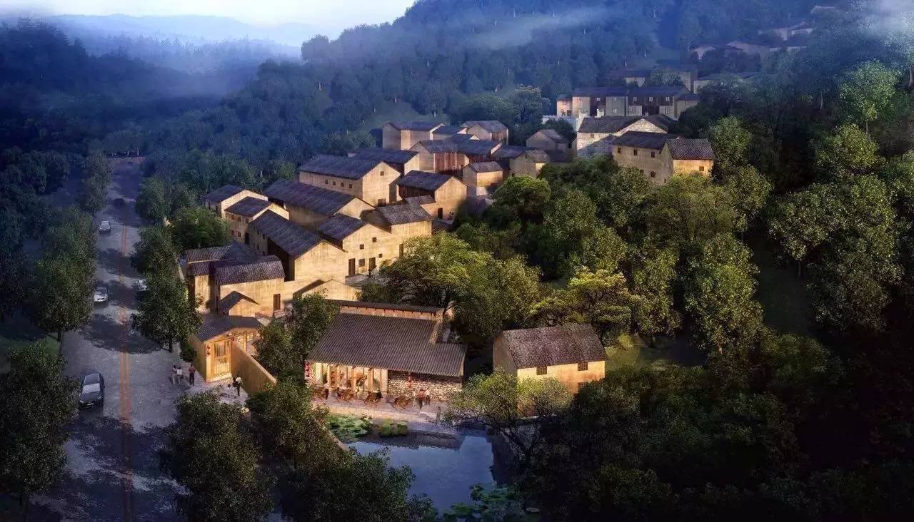 拜访外婆家创始人吴国平出生年月,外婆家创始人吴国平民宿