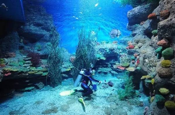 成都主题乐园推荐,成都新增的主题乐园