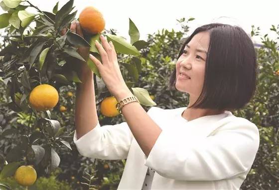 丹棱电商人刘书伶：坚守诚信，赢得广阔市场！