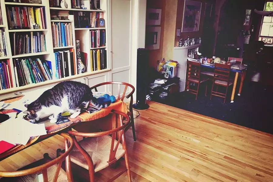 留学和不留学,旅行和留学哪个好