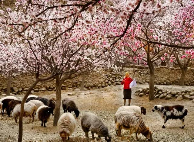 看头条后天就能从克拉玛依坐火车到喀什啦！