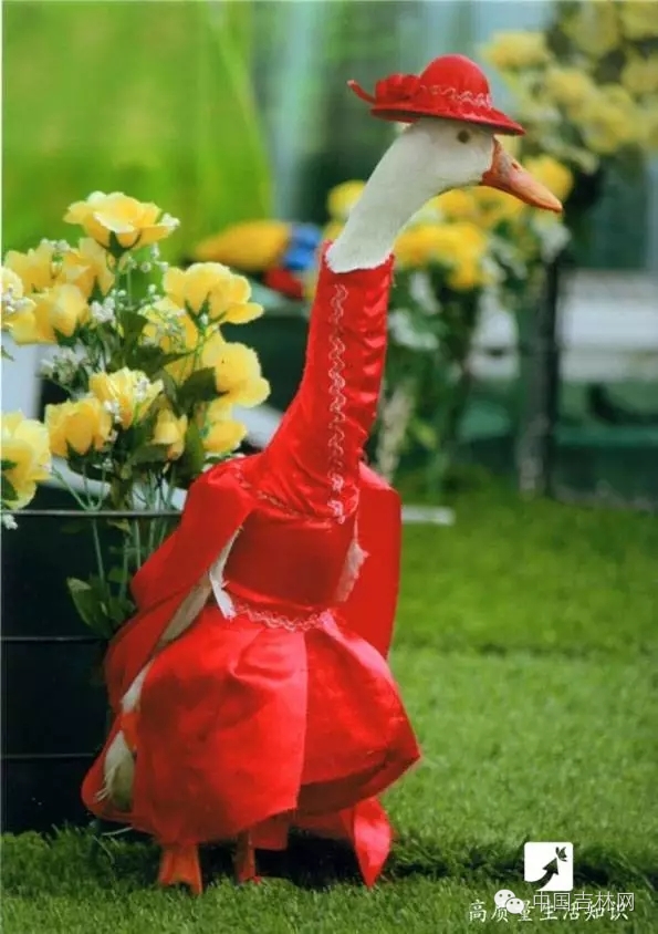 长春热企提前开栓供暖,长春市提前开栓供热通知