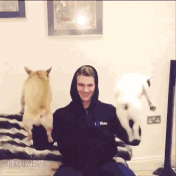 肌肉最猛而且非常帅的肌肉男,180斤胖子和180斤肌肉男对比图