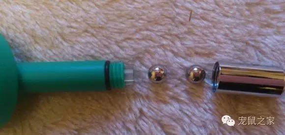 豚鼠各类饲养装备优缺点汇总之上篇