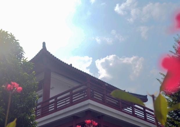 破晓风来一径香，当是人如故——卜算子一组