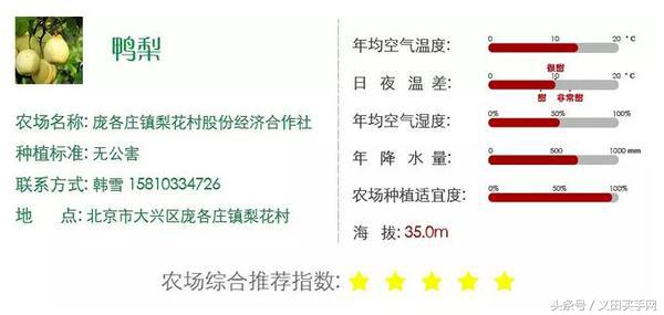 买梨子怎么选才好吃,义田买手