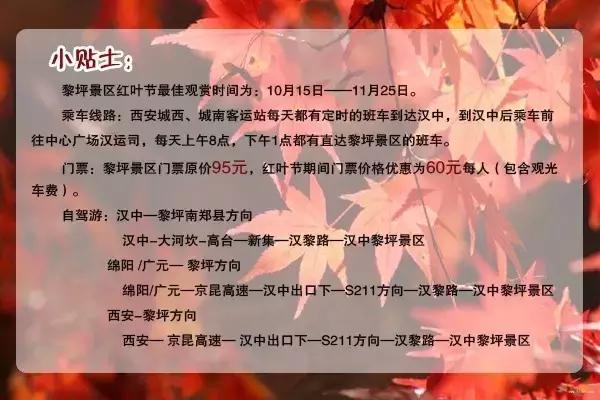 来黎坪看漫天红叶倾尽一城秋色,黎坪红叶照片