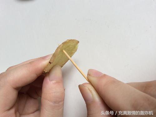 富贵竹与人的关系,富贵竹和普通竹子的区别