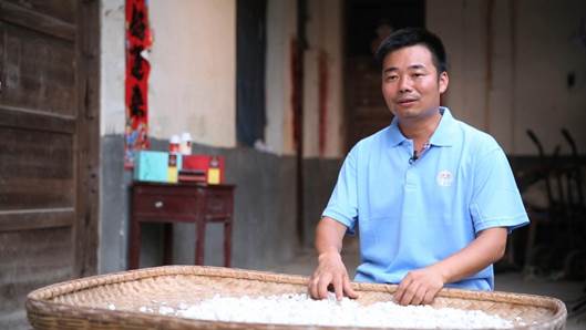 匠心制造传美名大别山下出茯苓