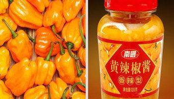 三亚旅游全攻略大概多少钱,三亚吃喝玩乐全攻略