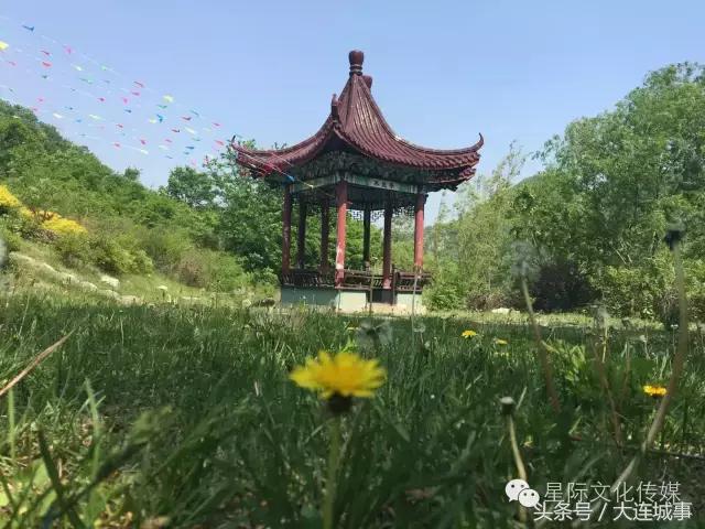 大连庄河天门山一日游,大连庄河天门山国家森林公园