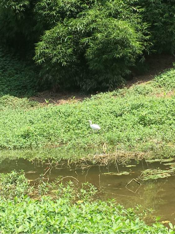 为什么野钓更舒服,为什么野钓要钓底