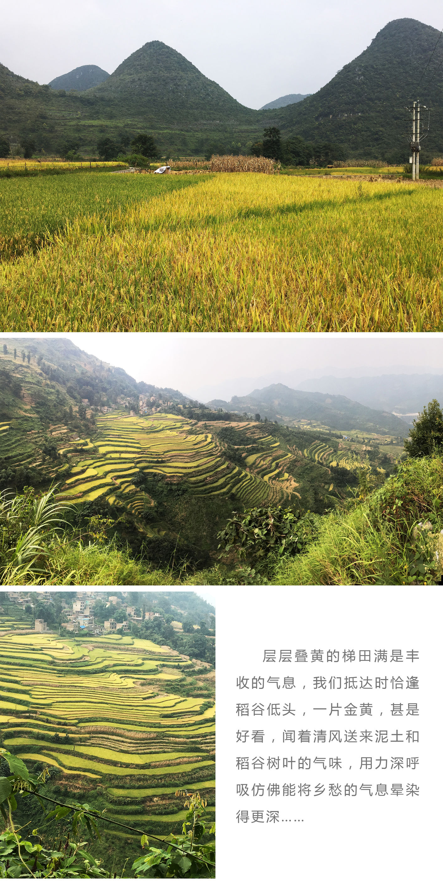 贵州雨后的大山美景,秋天的贵州大山这里仿佛就是仙境