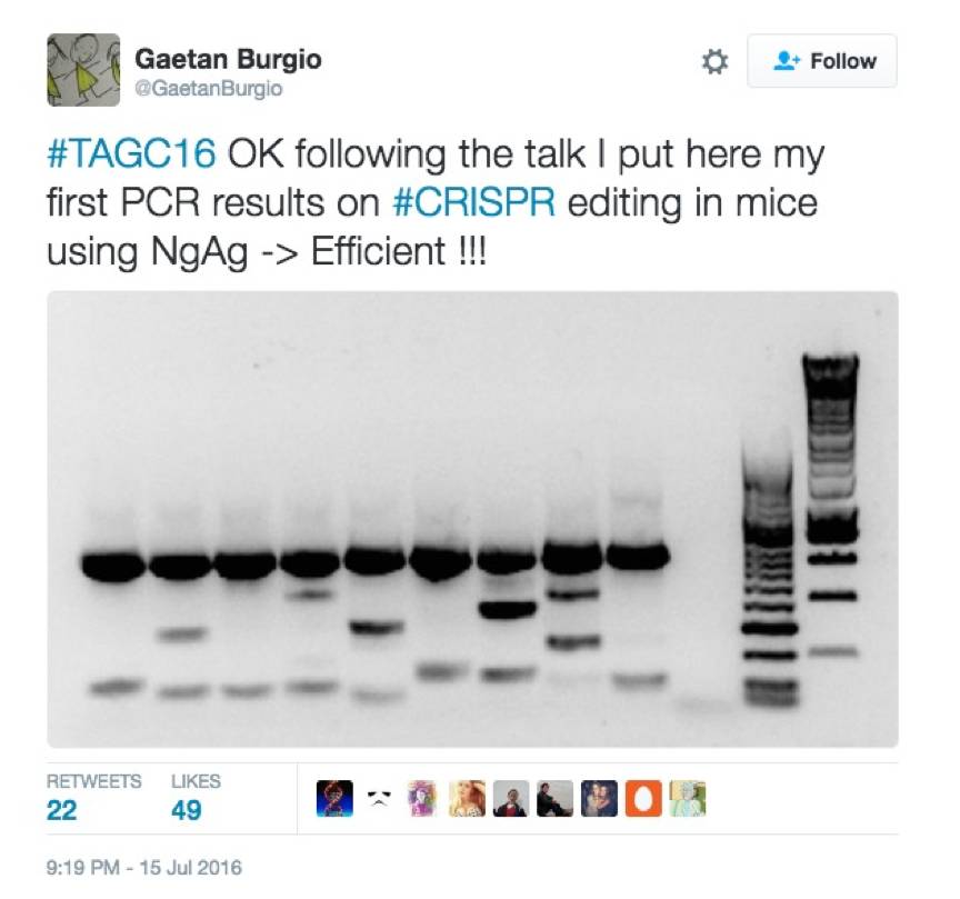 如何认识与评价韩春雨事件 (韩春雨专访)