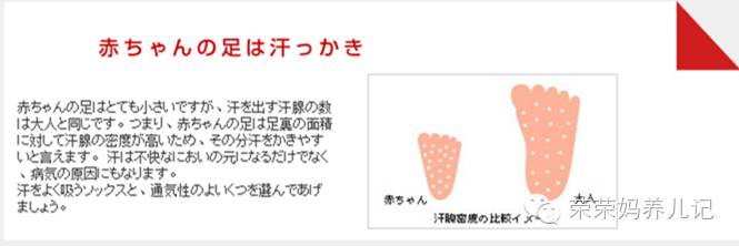 mikihouse获奖鞋是哪款,mikihouse获奖