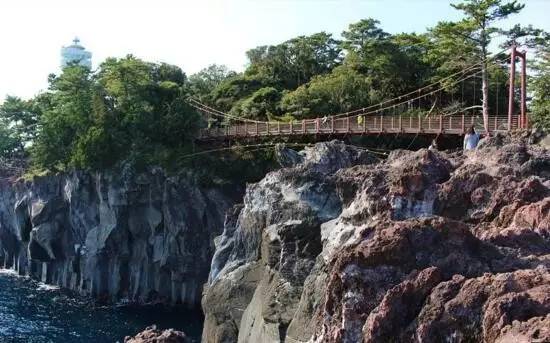 日本大阪东京15天自由行攻略,东京大阪6天旅游攻略