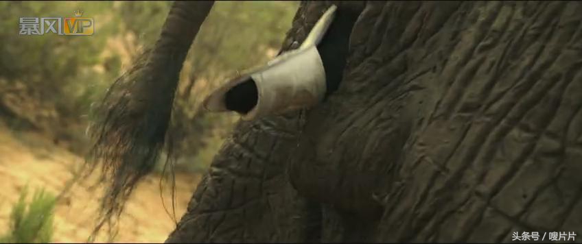 玛德制杖真的有用吗,玛德制杖是什么梗