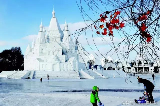 什么能够代表哈尔滨,哈尔滨代表人