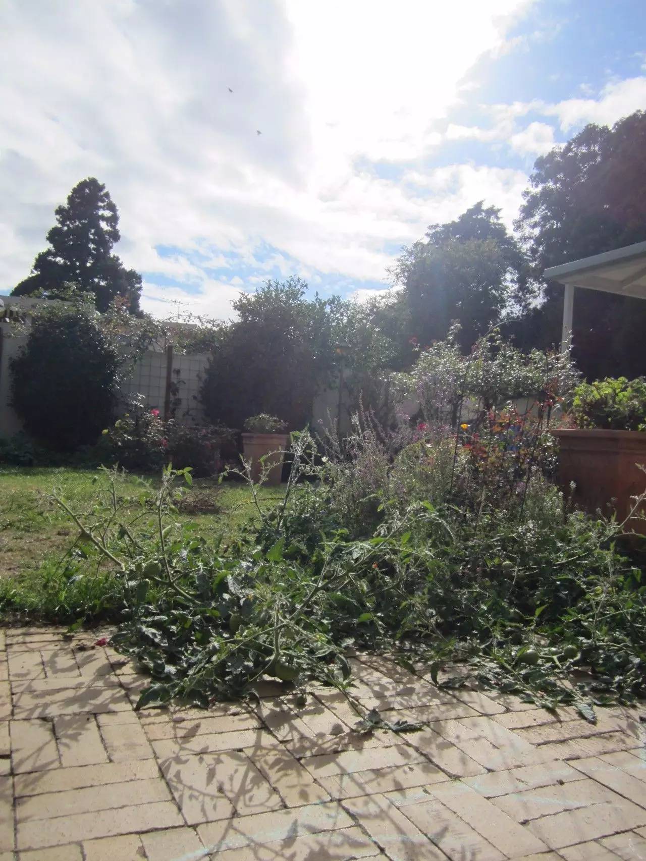 去国外一定会被种族歧视吗,在国外遇到种族歧视怎么办