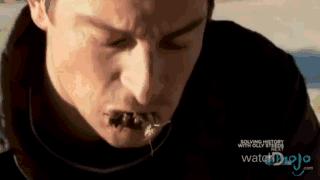 贝爷吃过最恶心的虫子,贝爷吃过十大恶心虫子