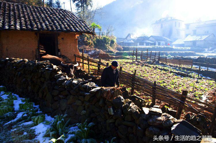 我的家乡崇阳市,家乡美我的故乡原唱