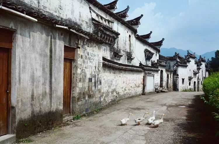 比起诗和远方我更喜欢有你的地方,这辈子总要去一趟丽水