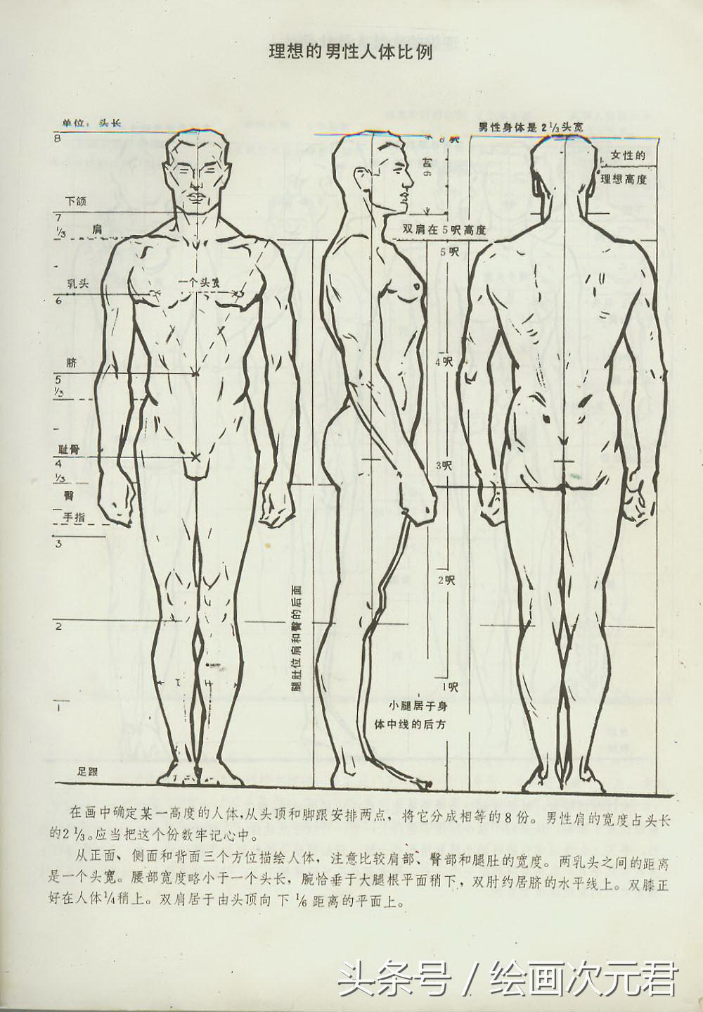 人体结构怎么画？教你如何绘画人体动态的技巧！