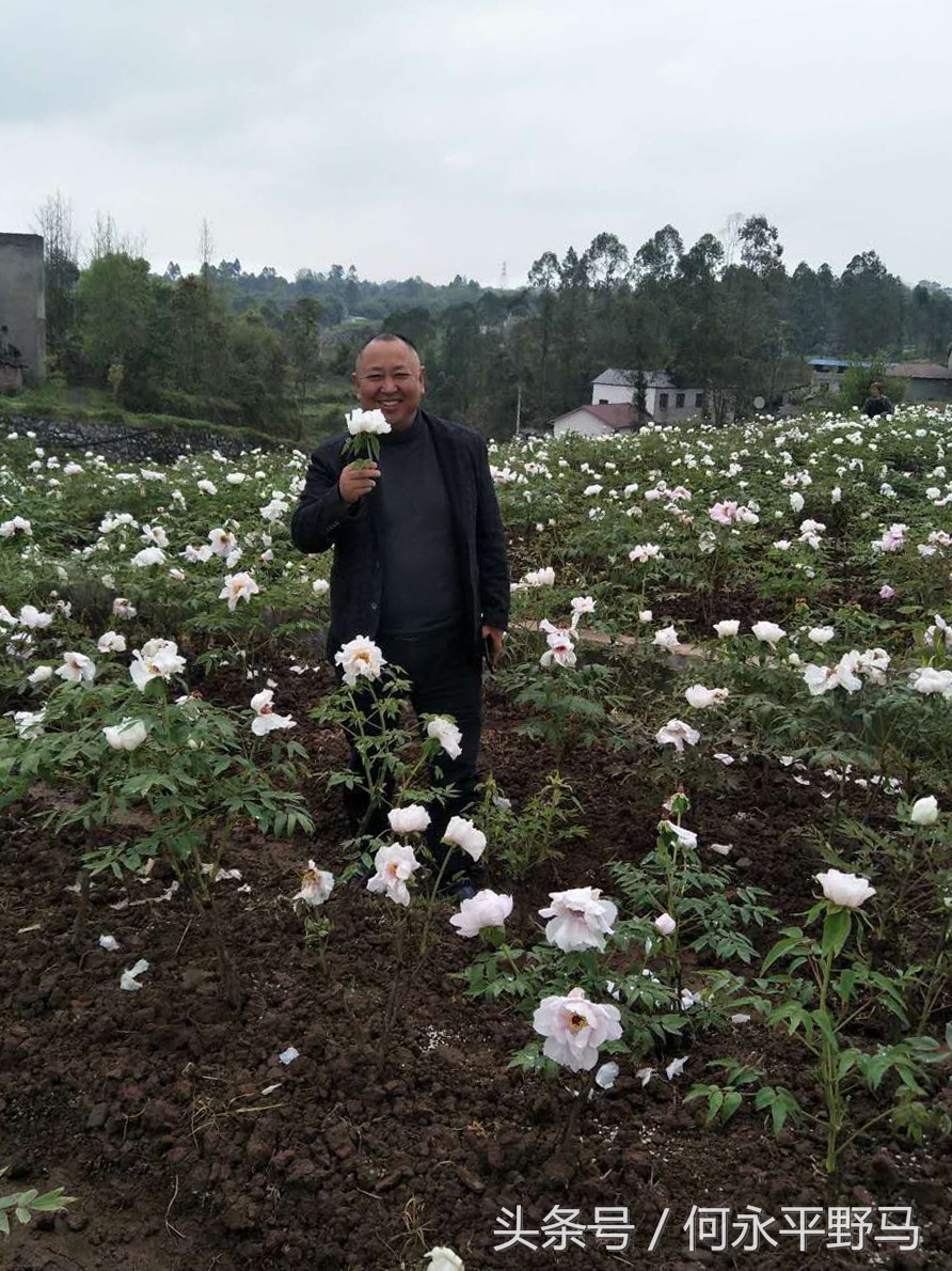 蔡维祥：发展好产业带来好“钱途”
