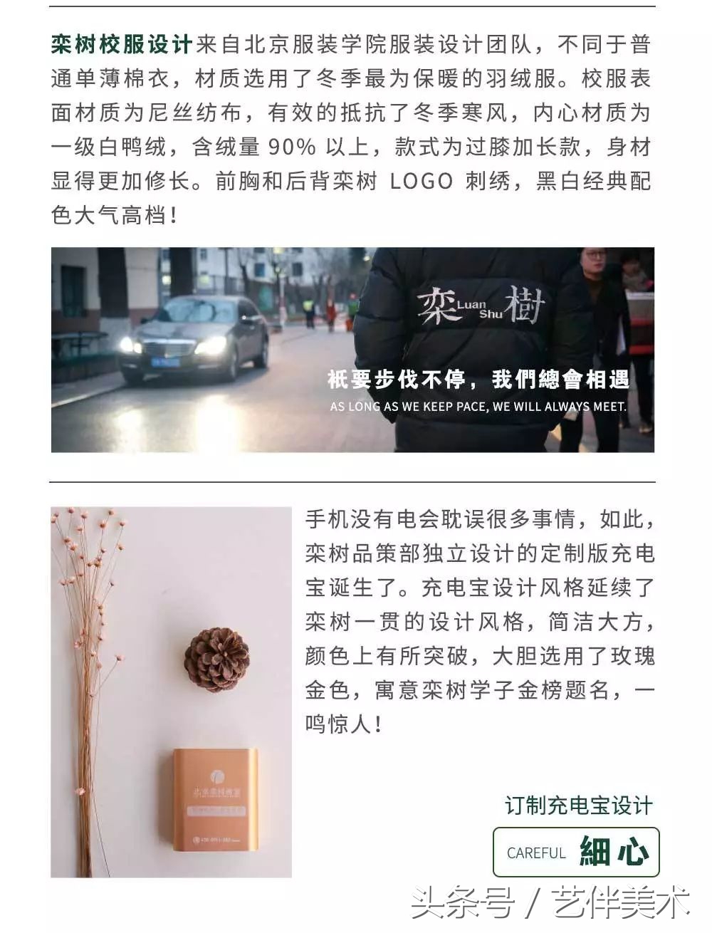 北京宋庄栾树画室环境,北京栾树画室基础教学