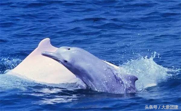 珠海长隆海洋王国游玩攻略时间表,珠海长隆海洋王国游玩攻略文字版