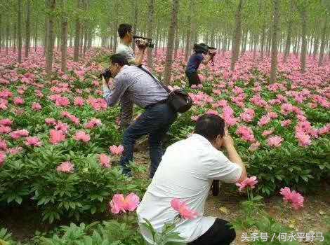 蔡维祥：发展好产业带来好“钱途”