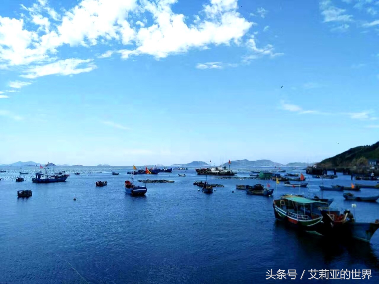 生活不止杯中的枸杞还有诗和远方 (生活不止有诗和远方 还有枸杞)