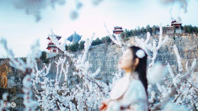 童养夫全部小说,童养夫小说简介