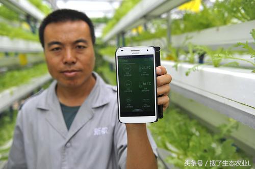 2022创业项目推荐适合创业的项目,农村实体店创业好项目大全