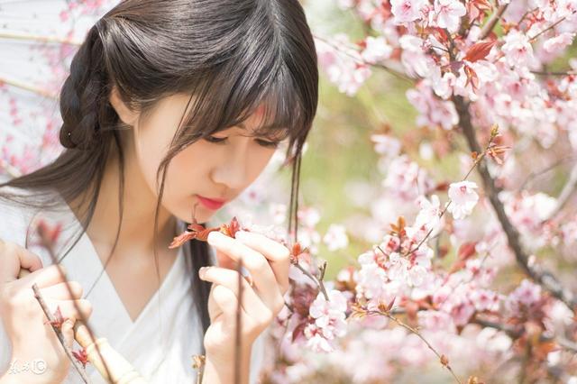 饥荒里被野猪追怎么办,被野猪追赶