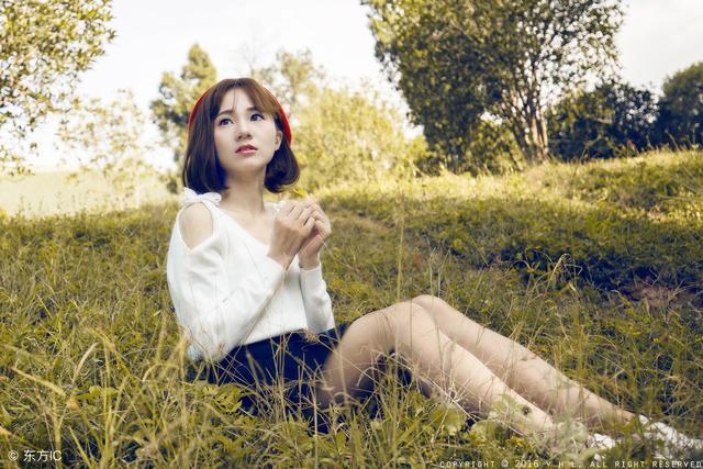 何雨柱是谭家菜,关于何雨柱的小说