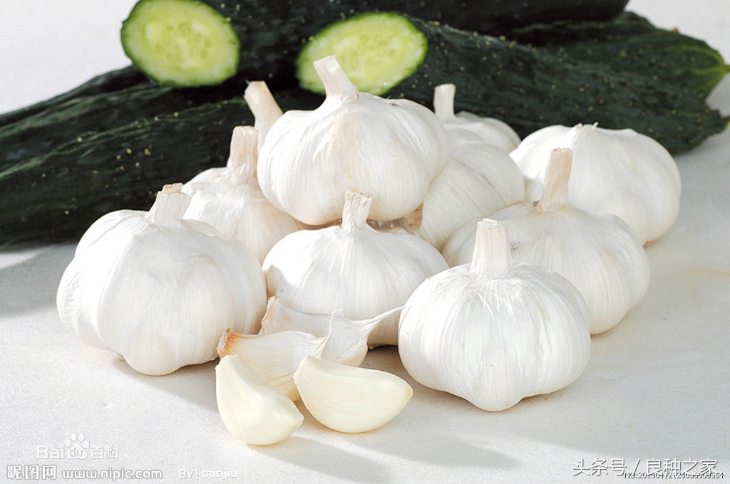 餐桌上常见的本土作物是什么,10种常见的粮食作物