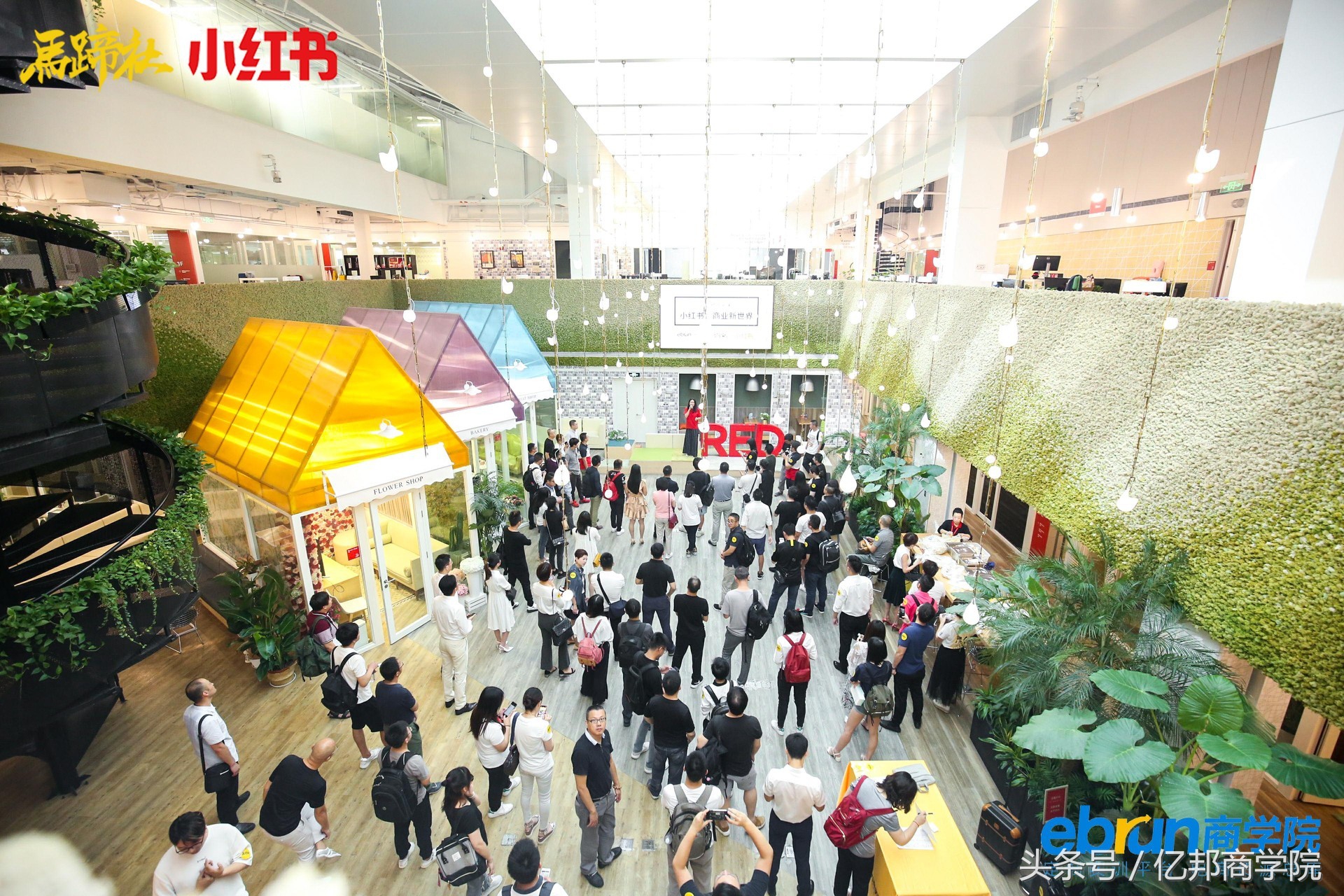 马蹄社课程,马蹄社培训