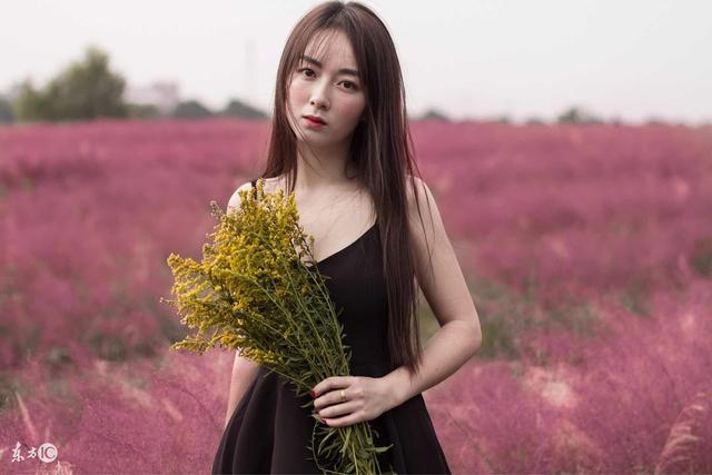 小说：药材大佬本想把许苗封杀，谁知却被许苗反封杀