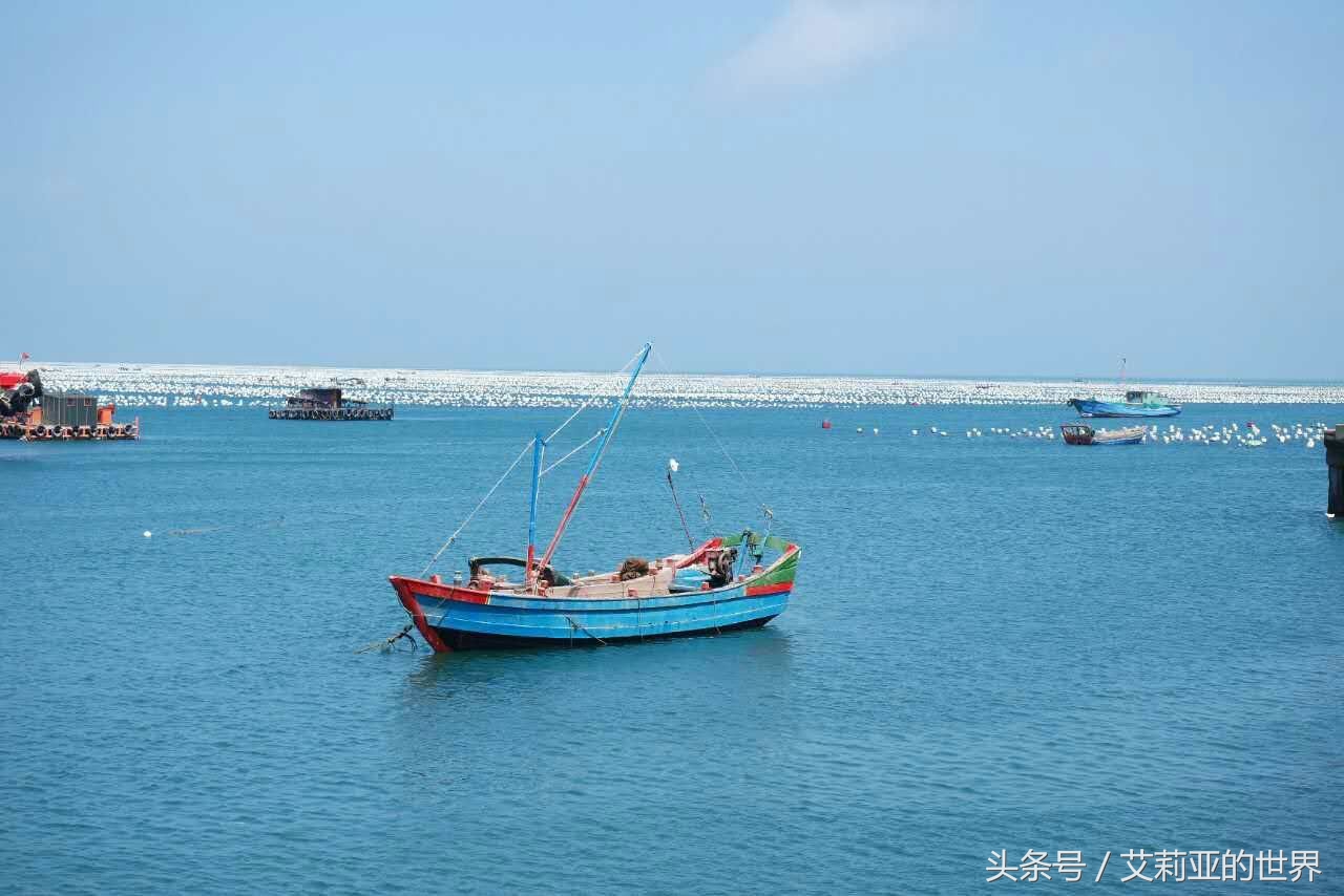 生活不止杯中的枸杞还有诗和远方 (生活不止有诗和远方 还有枸杞)