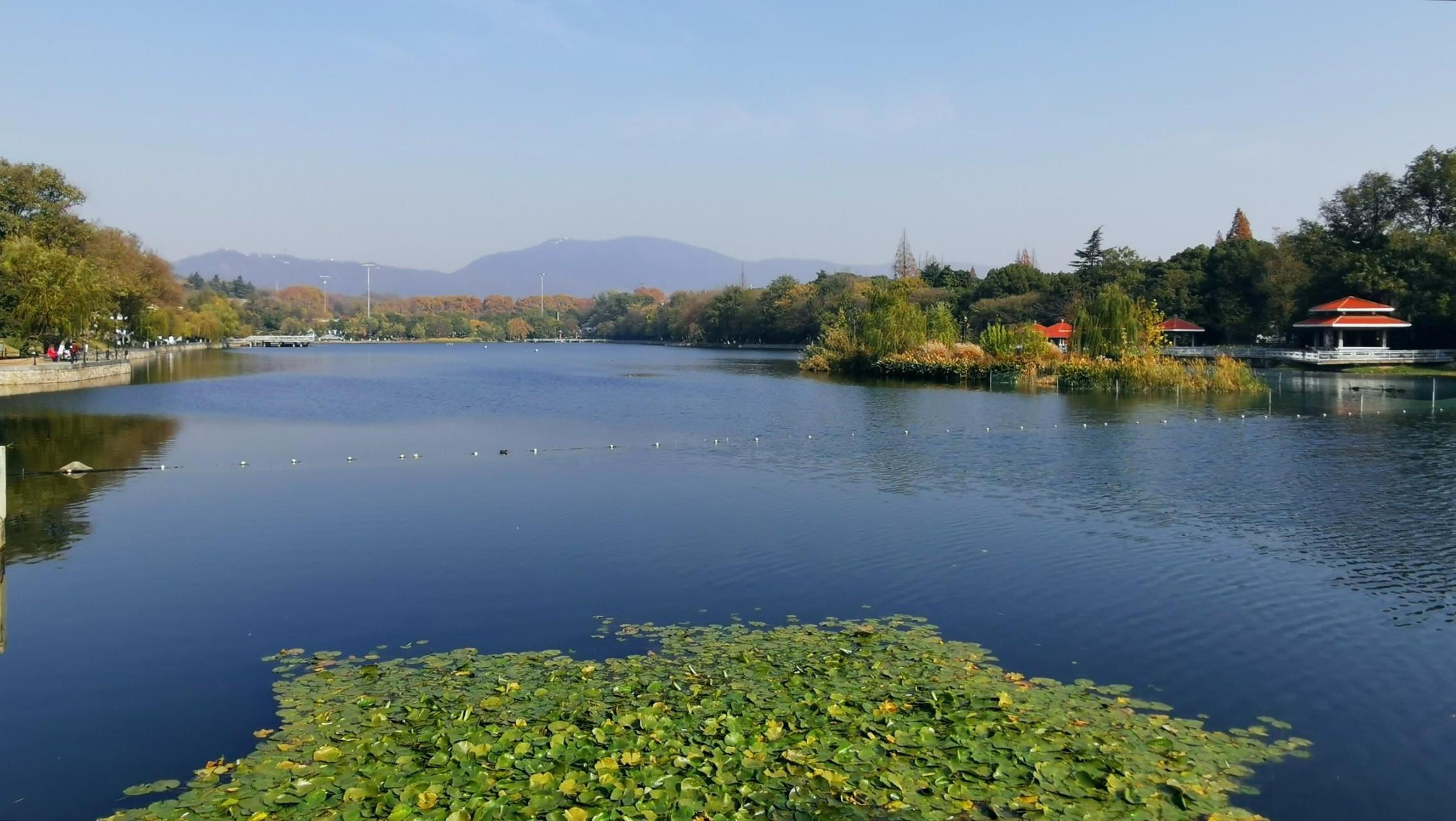 南京冷知识50条,中国南京的10种冷知识