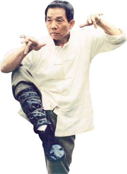 翁静晶因与刘家良结婚轰动娱乐圈，刘家良去后，她再嫁入赌王家族