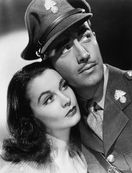 绝代佳人费雯丽故事梗概,费雯丽绝色佳人