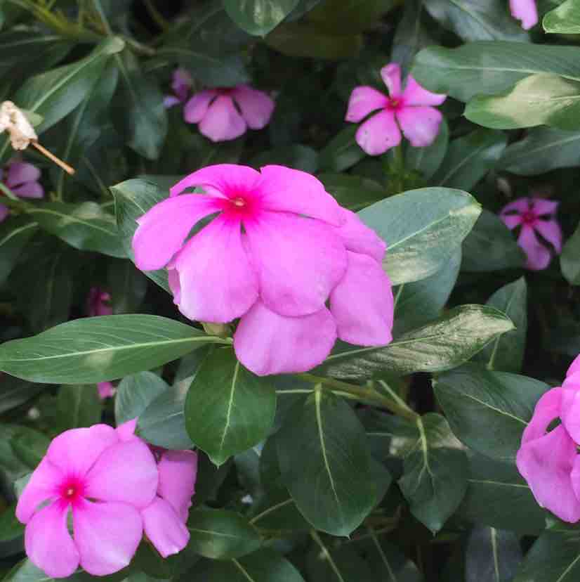 科目二已经挂2次了是什么原因,科目二可以挂22次吗