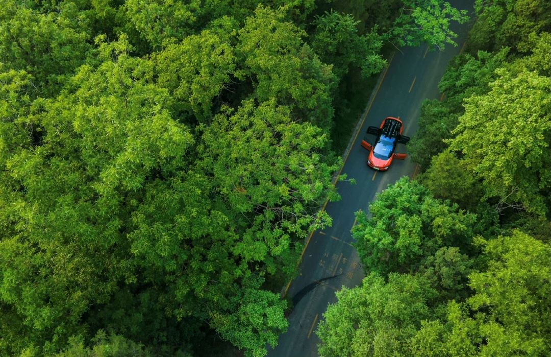 2021汽车蓝皮书论坛华人运通丁磊,华人运通创始人丁磊创业故事