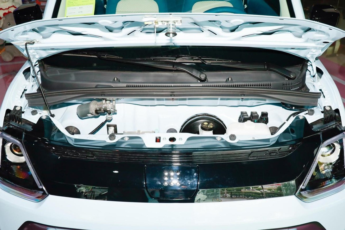 东风风光miniev白色,东风风光miniev小康